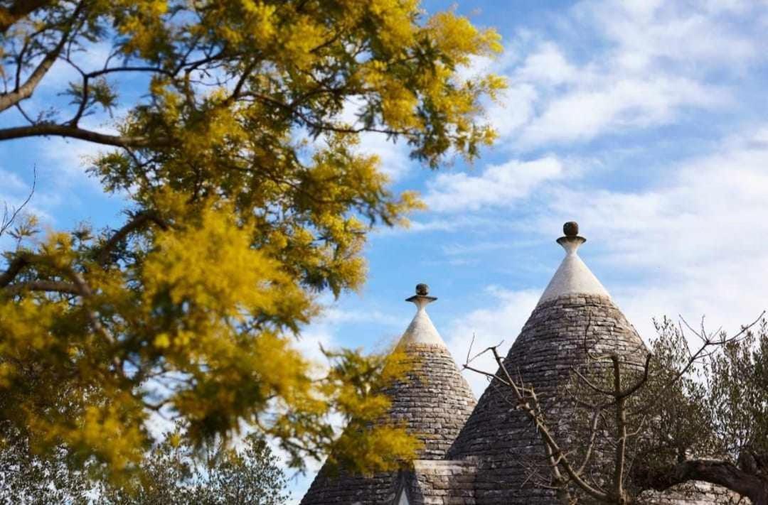 Trulli Azzalema With Exclusive Pool Βίλα Μπρίντιζι Εξωτερικό φωτογραφία